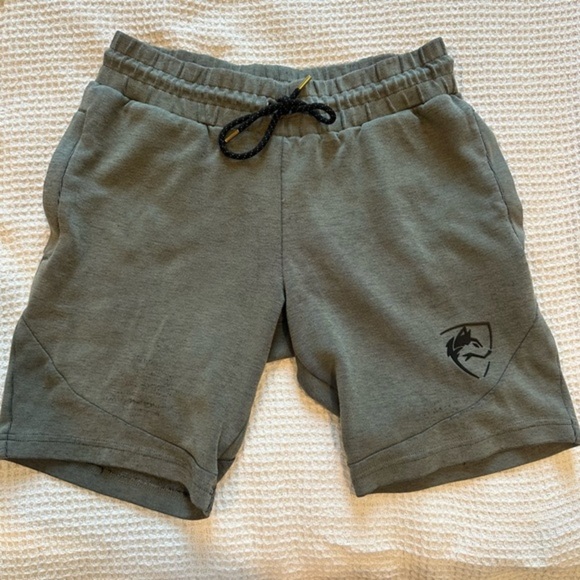 Men’s 9’ size small Alphalete sweat shorts - Picture 1 of 5